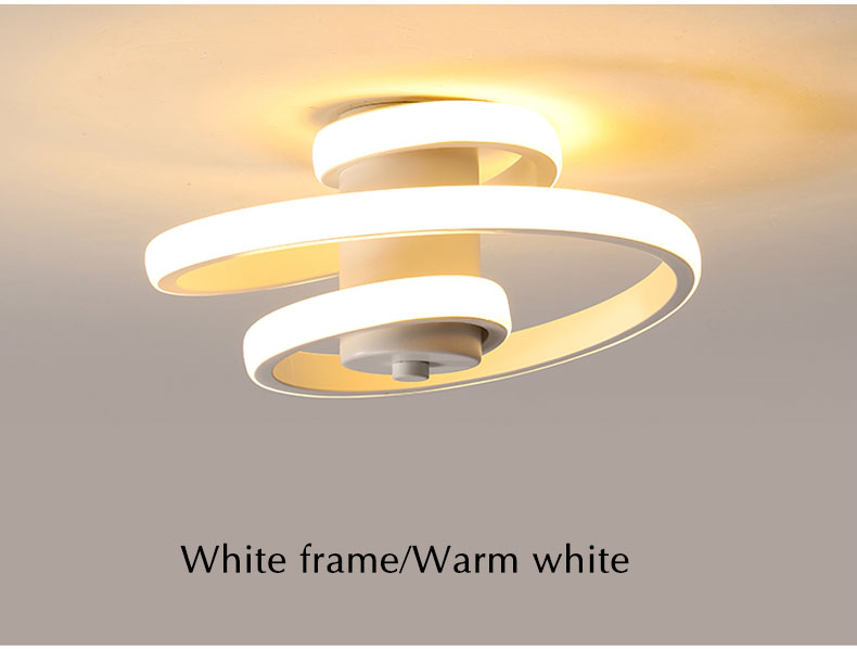 Metal LED Ceiling Light